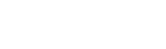 kapitize